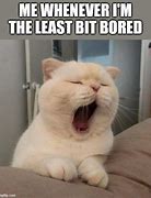 Image result for Cat Yawning Meme