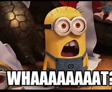 Image result for Say What Minion