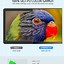 Image result for Q-LED 4K Monitor