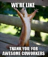 Image result for Thank You Memes for Co-Workers