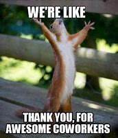 Image result for Thank You so Much Meme Co-Worker