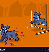Image result for Dog Agility Funny