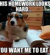 Image result for Meme About School Homework
