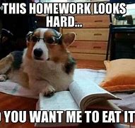Image result for School Memes About Homework