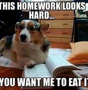 Image result for Memes About University Homwork