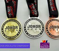 Image result for Jiu Jitsu Medals