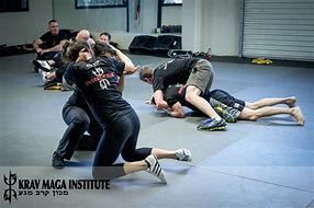 Image result for Krav Maga Fighting Techniques