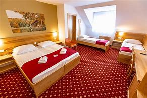 Image result for Hotel Crni Vrh Sobe