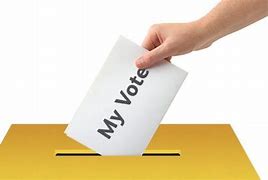 Image result for votante