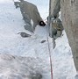 Image result for Alpinismo