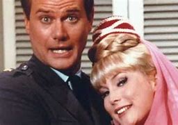 Image result for 60s Family Sitcoms