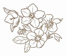 Image result for Free Printable Flower Patterns to Trace