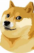 Image result for Doge with Hat Meme Template