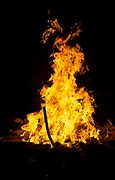 Image result for Rexdale Plant On Fire
