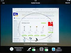 Image result for Lock iPad Home Screen