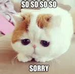 Image result for Sorry Meme Cute