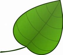 Image result for Leaf Drawing