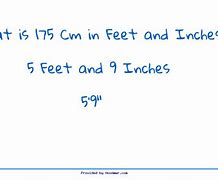 Image result for 175 in Feet