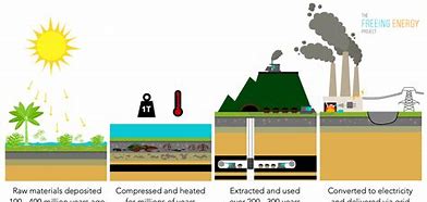 Image result for Pics On How Coal Is Formed