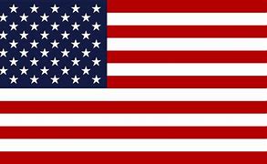 Image result for United States Map with Flag