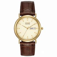 Image result for Citizen Eco-Drive Day Date Watch