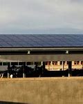 Image result for Solar Panel Green Roof