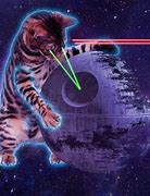 Image result for Shooting Star Cat Meme