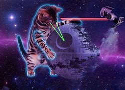 Image result for Cat Laser Cartoon