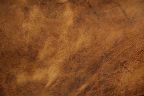 Image result for Tan Leather Texture
