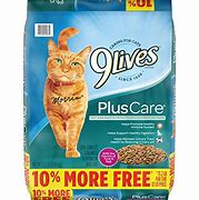 Image result for 9 Lives Outdoor Complete Dry Cat Food