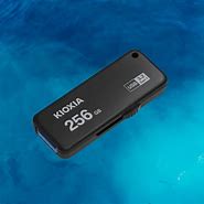 Image result for Kiaxia USB Flassh Drive