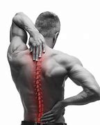 Image result for Back Pain Chiropractor