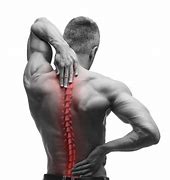 Image result for Chiropractor Back Pain Hot