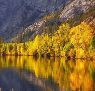 Image result for Northern California Fall Colors