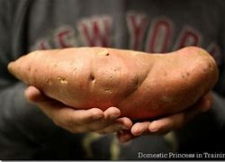 Image result for Biggest Sweet Potato