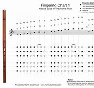 Image result for Flute Note Range