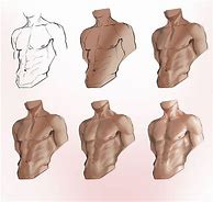 Image result for Upper Body Poses Drawing