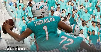 Image result for Miami Dolphins Fan Crying Meme