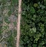 Image result for Amazon Rainforest Invisible People