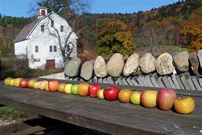 Image result for Heritage Apple Varieties