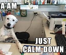 Image result for Calm Down at Work Meme