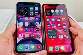 Image result for iphone 11 versus iphone xr