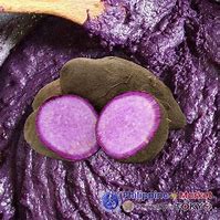 Image result for Ube Purple Yam