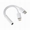 Image result for Lightning Microphone to USB C
