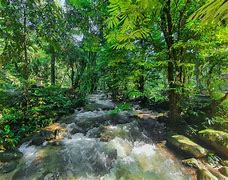 Image result for Malaysia River