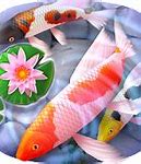 Image result for Koi Fish Wallpaper PC