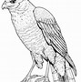 Image result for Harris Colouring In