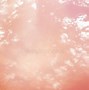 Image result for Pink Grunge Textures Free