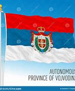 Image result for Vojvodina Flag