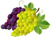 Image result for Grape Images. Free